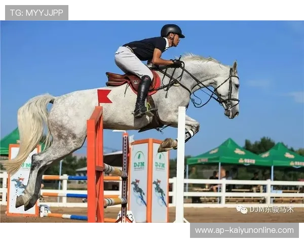 克罗地亚马术协会与国际马术联合会合作,举办国际马术交流活动,促进技术交流。