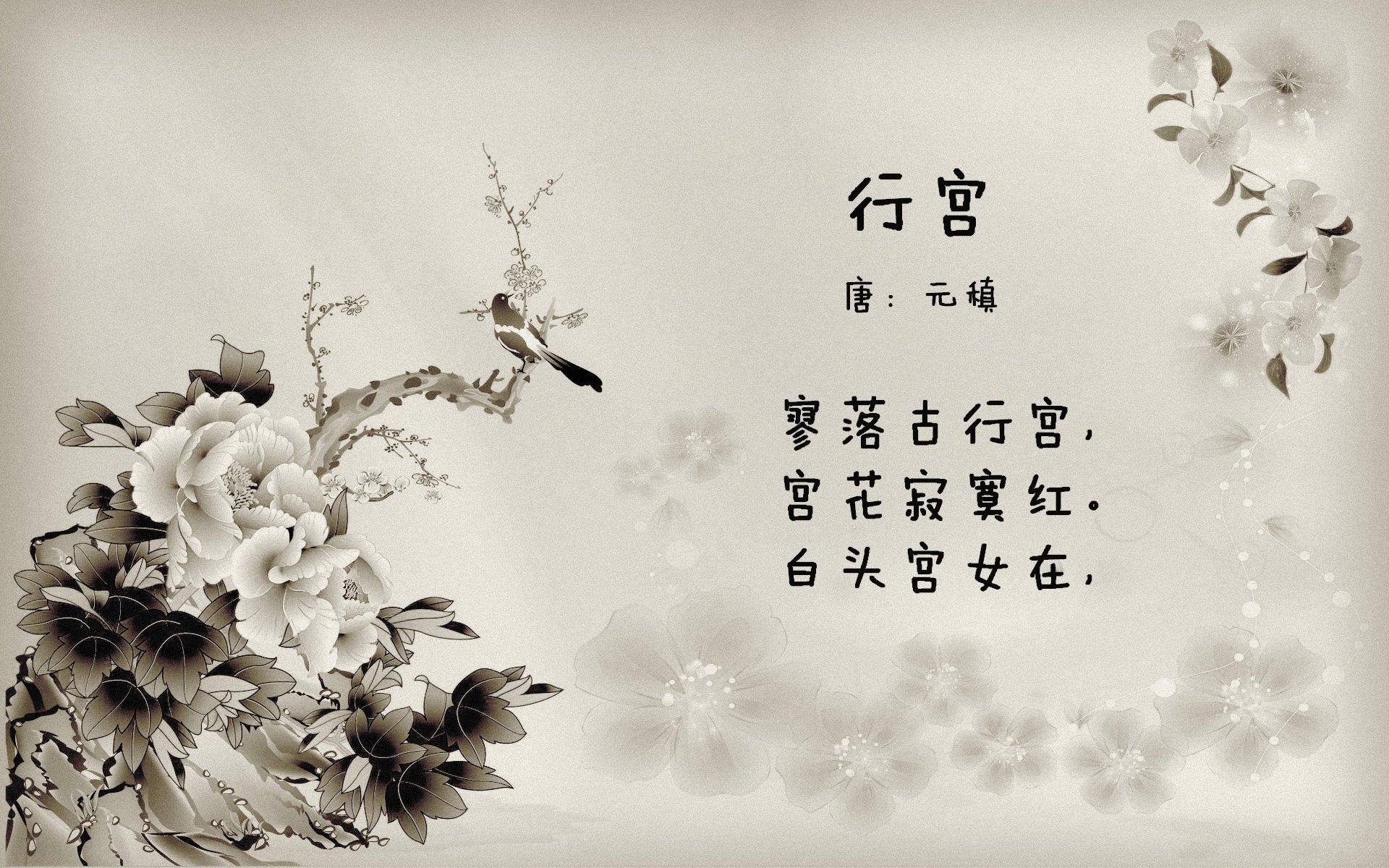 开云体育登陆入口-中国三人篮球女队进攻火力全开，中国三人篮球女队员名单