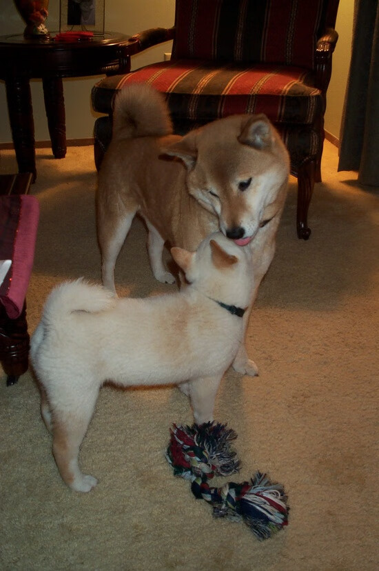 开云体育官网登入-替补爆发如何激活战术板主动性与比赛节奏